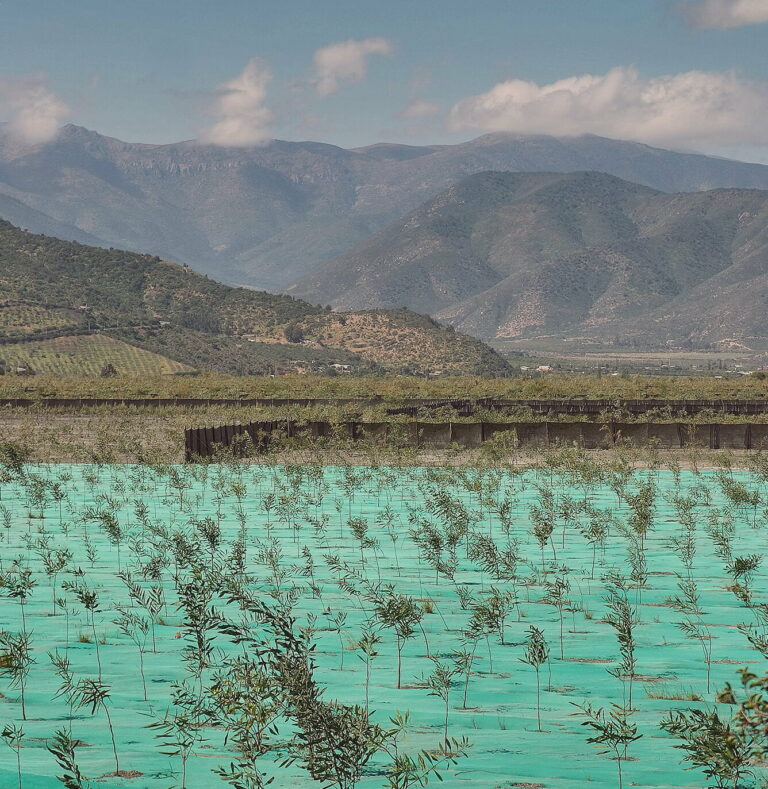 img cabildo ambiental 2